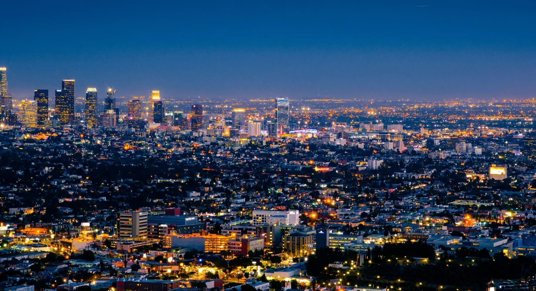 Managed Servies Case Study – (MSEDCL)