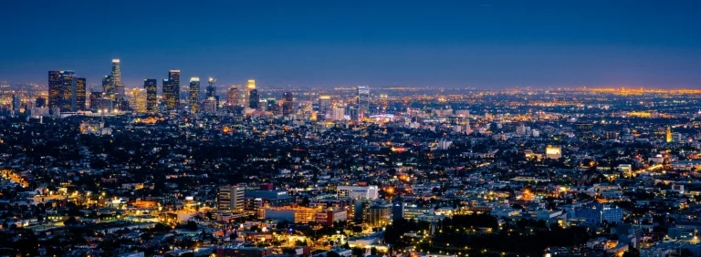 Managed Servies Case Study – (MSEDCL)