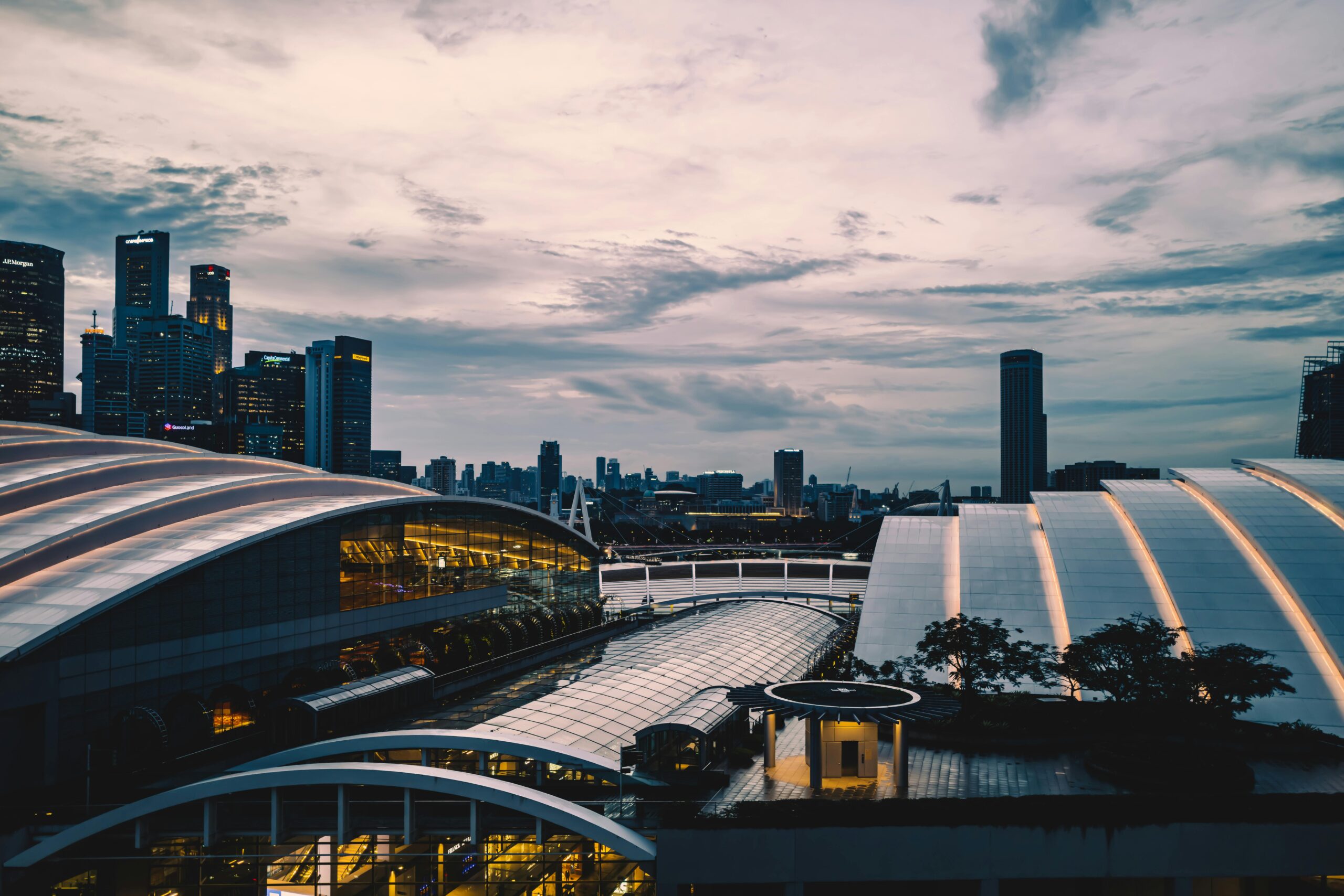 Integrated Digital Governance